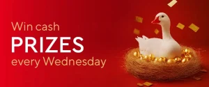 Slotland Casino Welcome Bonus Pack – Boost Your Beginner’s Luck